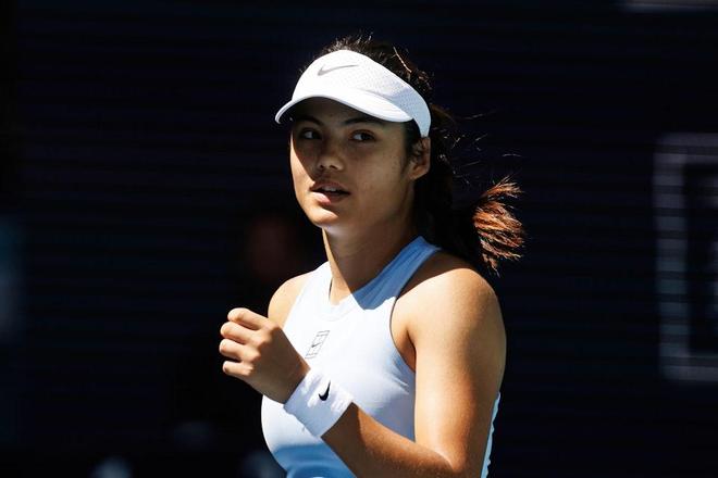 他们会带来 他们会带来