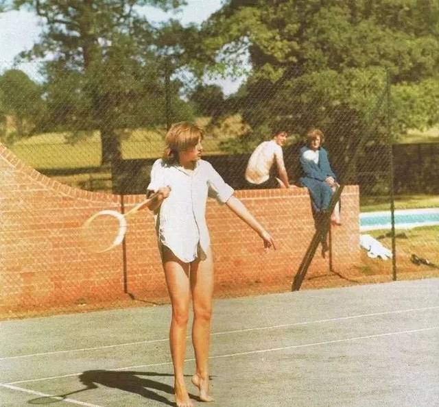 瞩目的羽毛 瞩目的羽毛