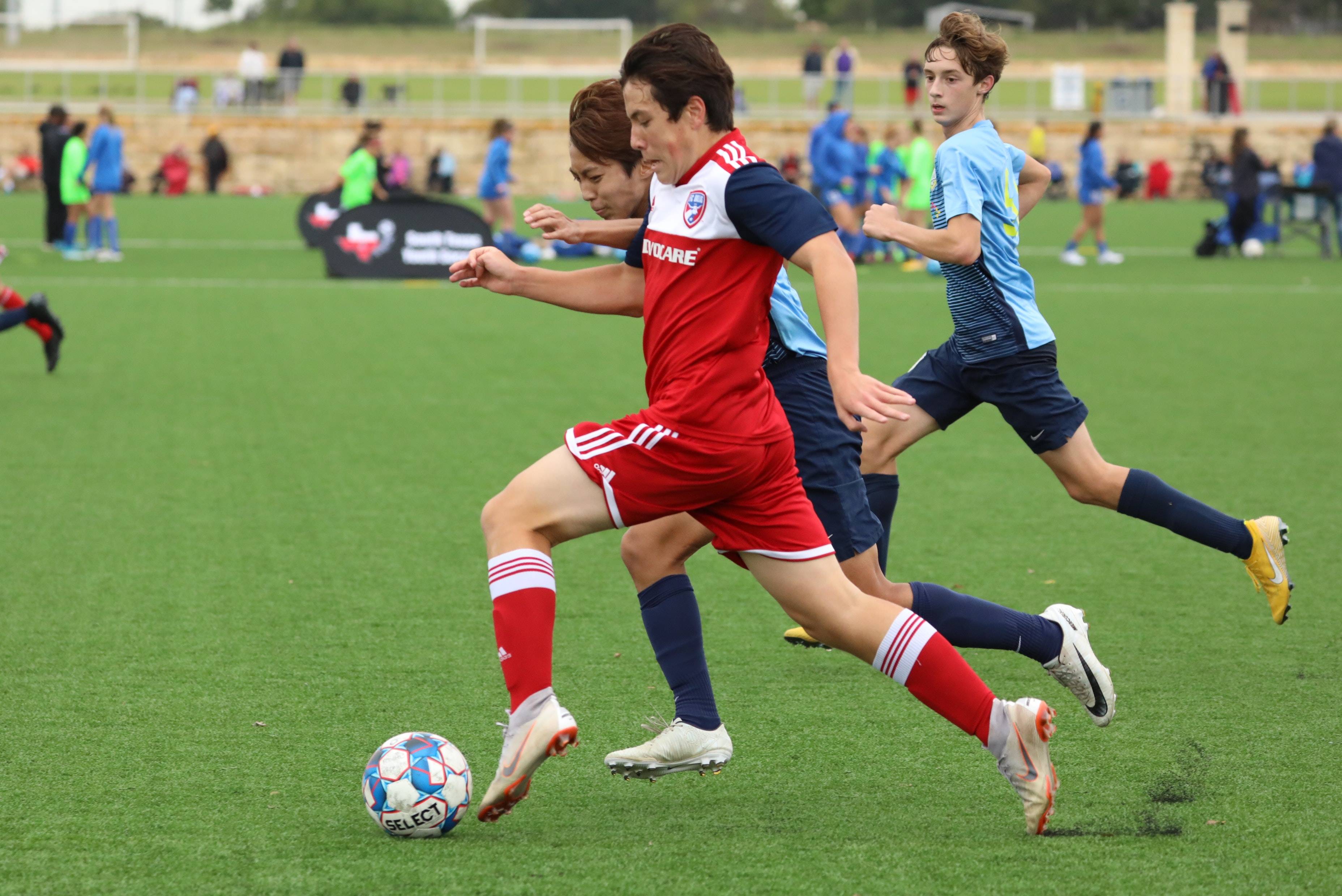 这种以弱胜 这种以弱胜