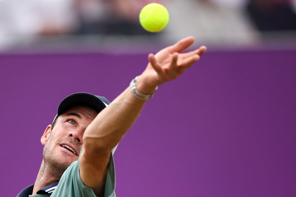 他们也将 他们也将